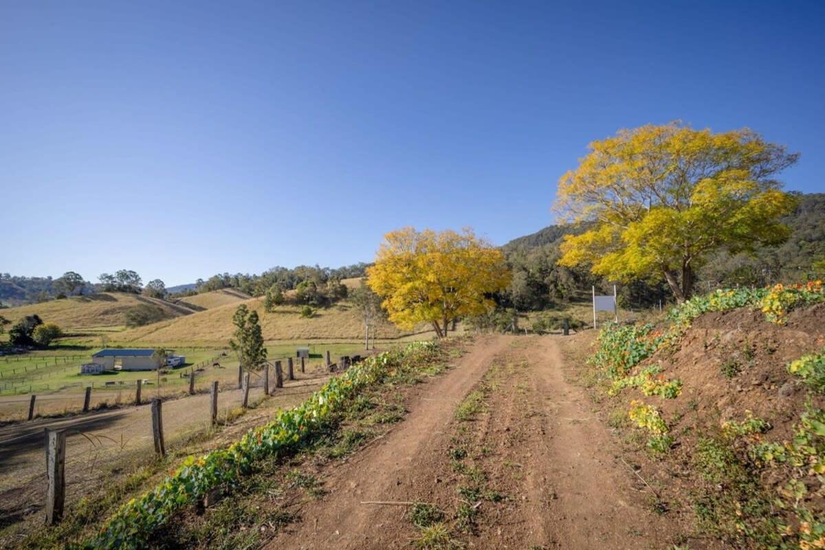 Hampson Farm Valley View By Tiny Away * Kyogle